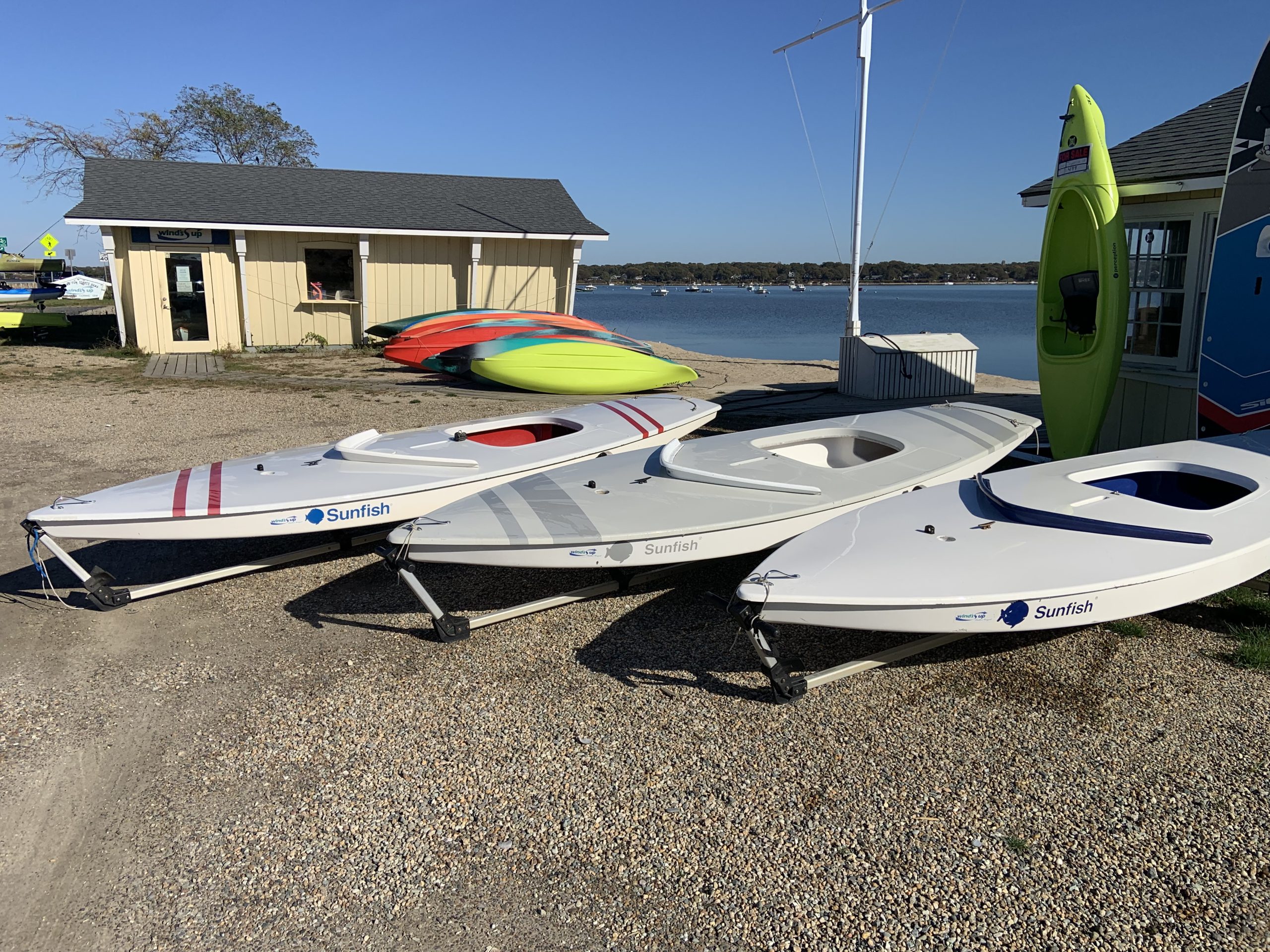 Used Sunfish for sale